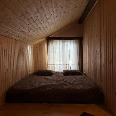 гія в баню * Mizhhirya (Transcarpathia)