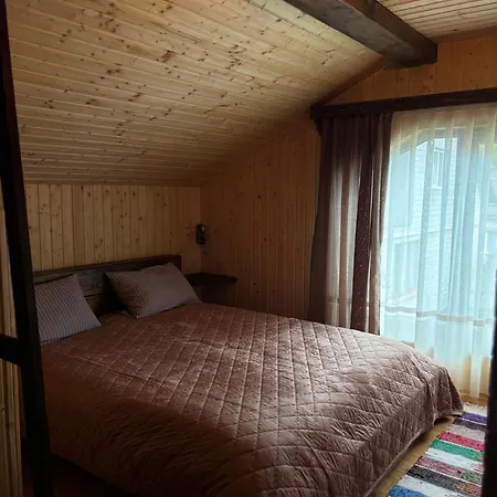 гія в баню Holiday home Mizhhirya (Transcarpathia)